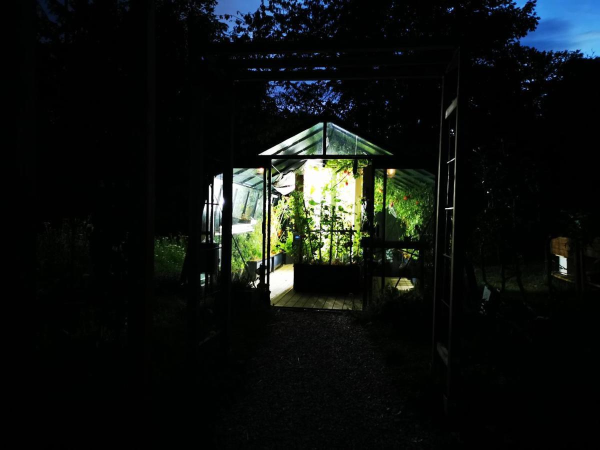 La Maison Des Oiseaux. Roulotte Achicourt Luaran gambar